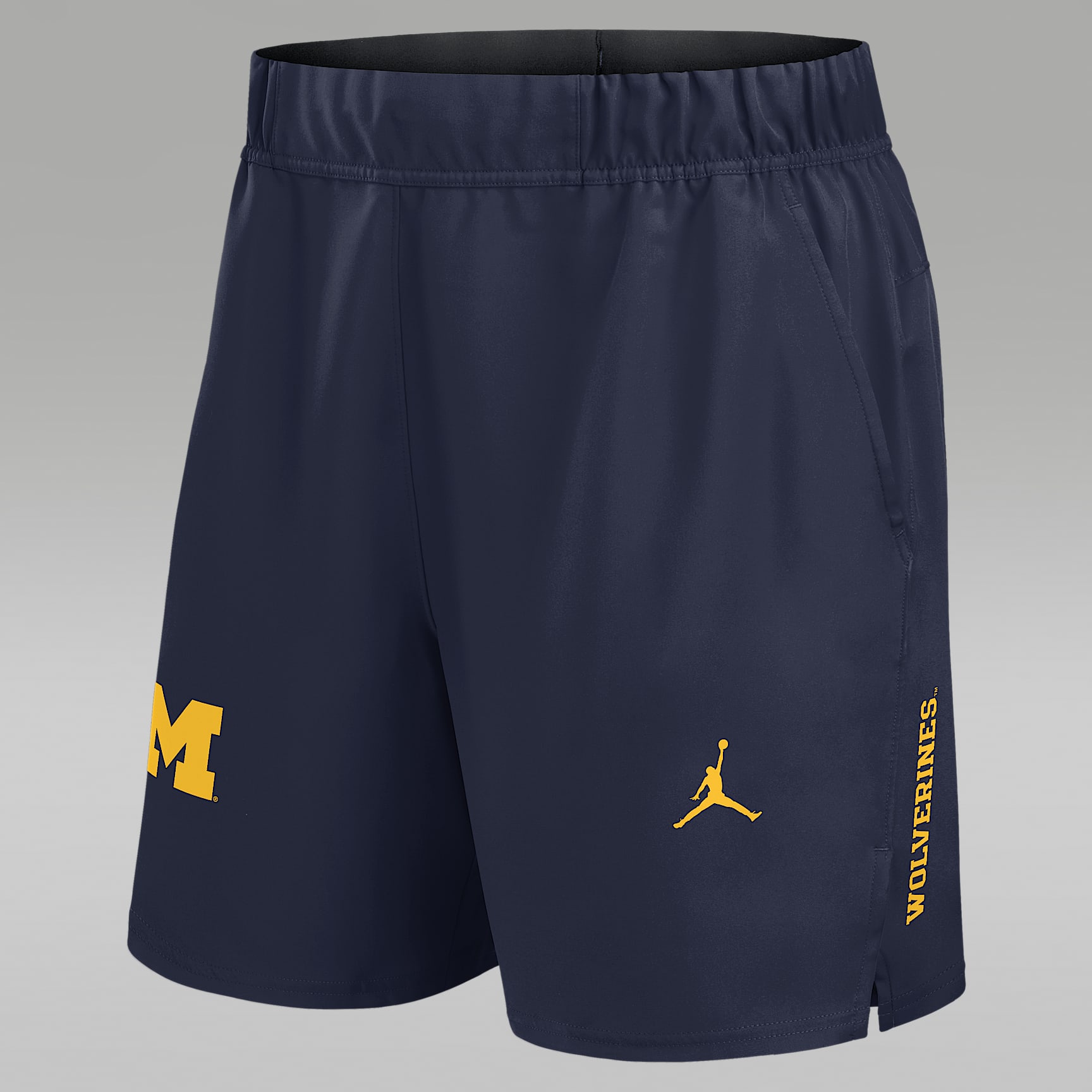 Michigan Primetime Victory Primary Logo Men's Jordan Brand Dri-FIT